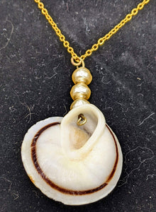 Snail shell and pearl beads necklace