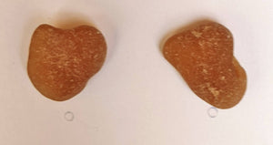 Brown seaglass earrings