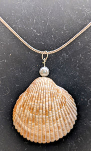 Prickly Cockle shell and seaglass necklace #3