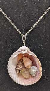 Prickly Cockle shell and seaglass necklace #2