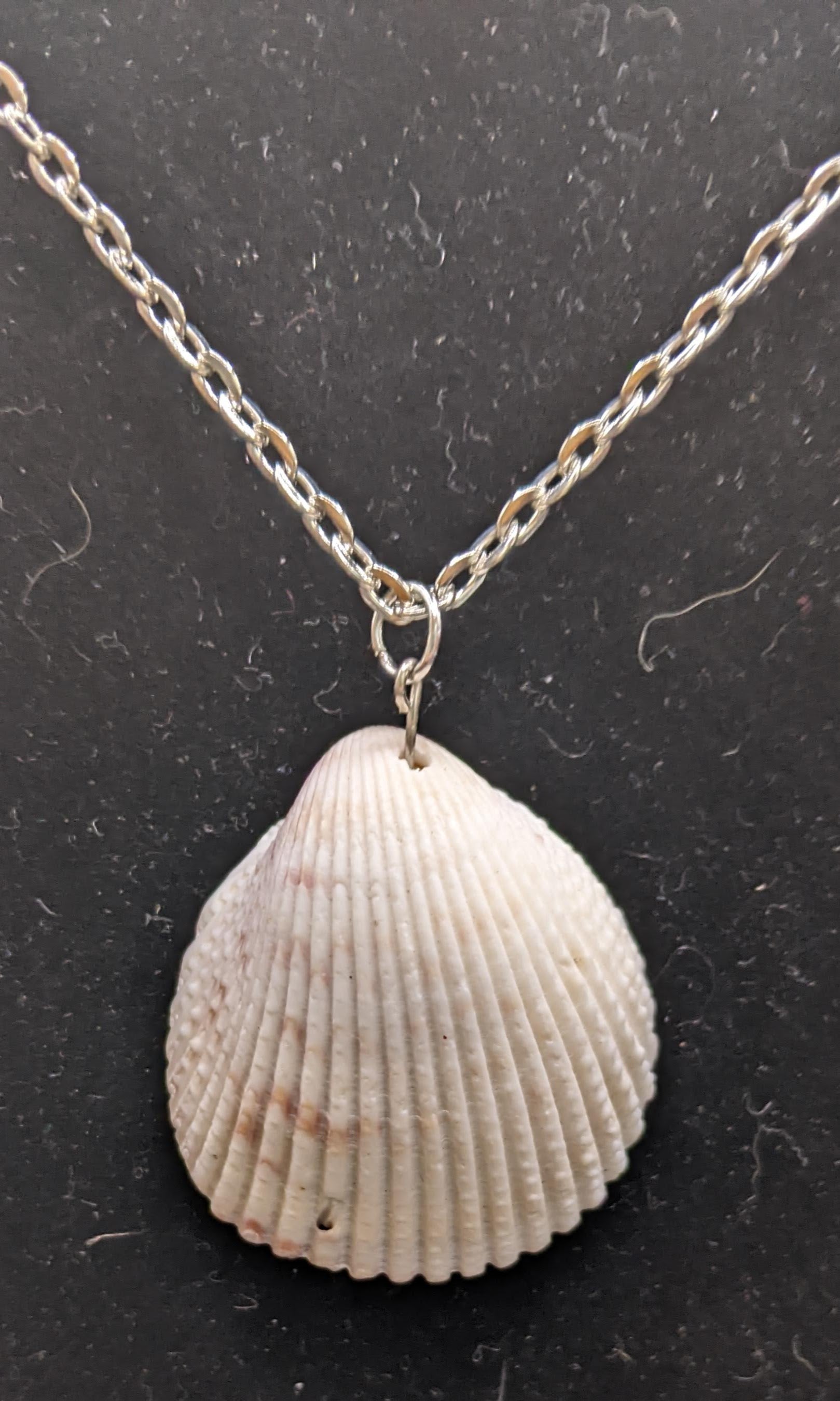 Prickly Cockle Shell  and seaglass necklace #1